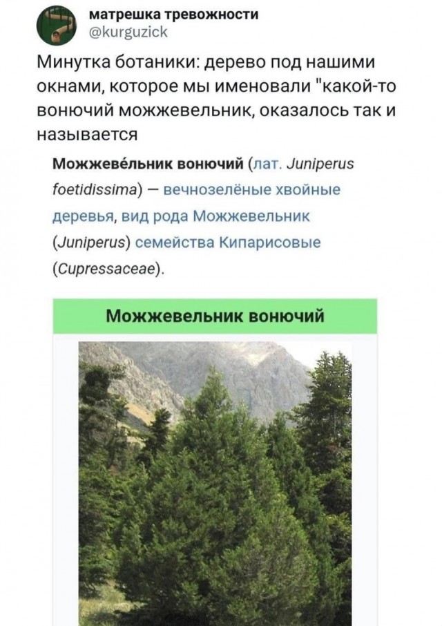 Так себе картинки 12.07.23