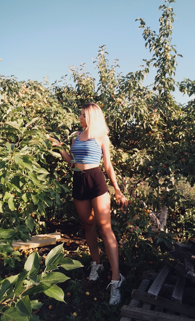 Дачные будни