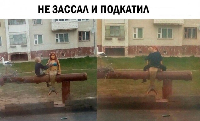 10 картинок с подписями