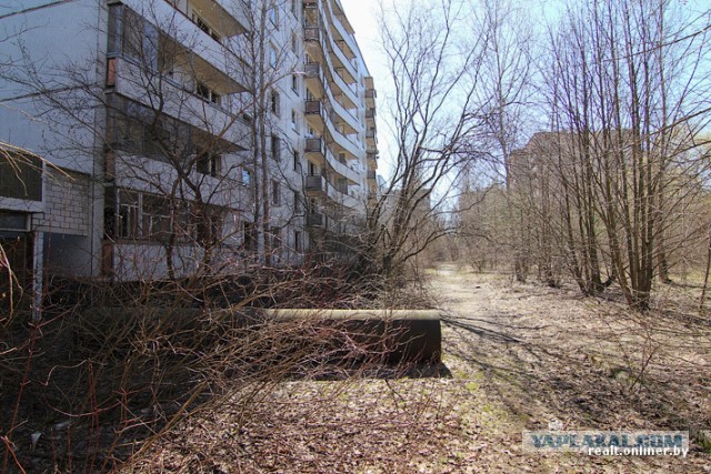 Репортаж из зоны отчуждения: