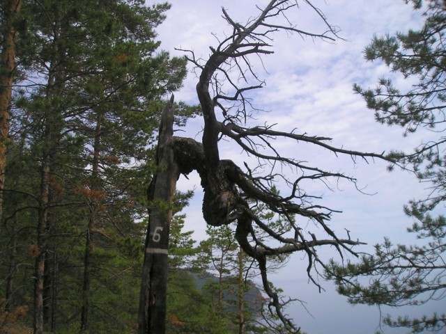 Байкал