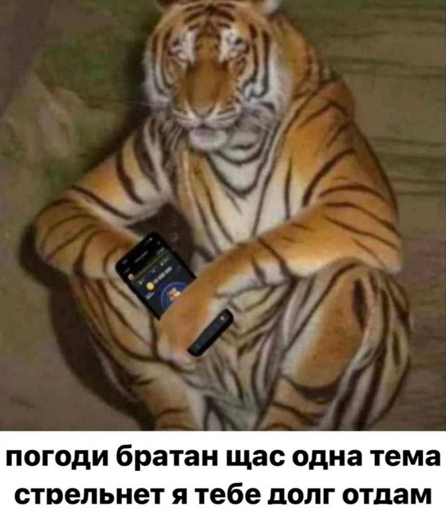 Завалялось тут случайно немного забавных картинок