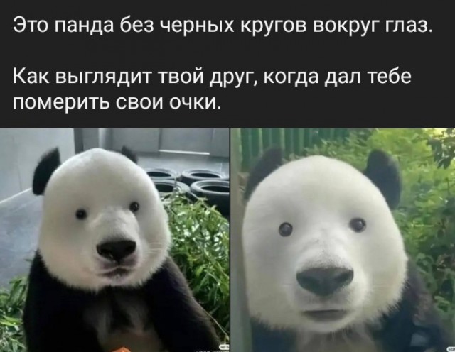 Всего понемногу. От 01.07.2024