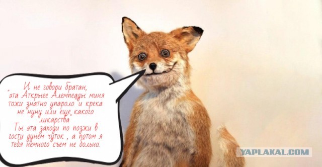 Открытие олимпиады