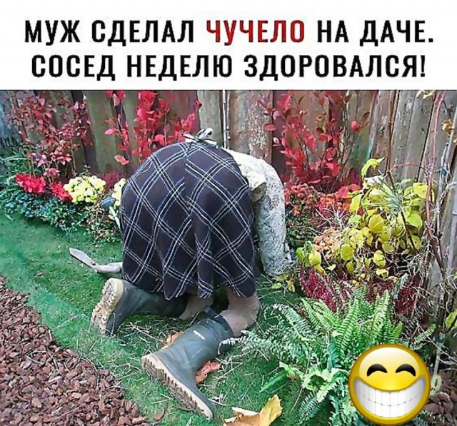 Так себе картинки 01.09.24