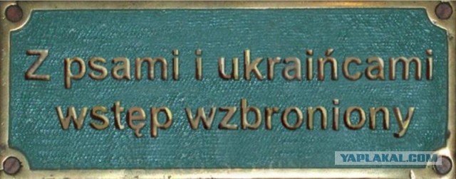 Как выглядят настоящие французы?