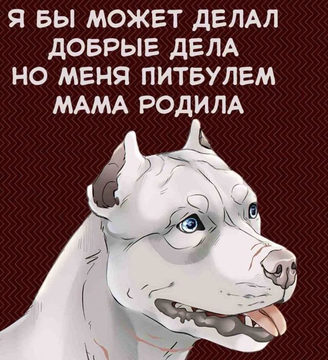 Баяны, очень баяны, но думаю улыбнёт