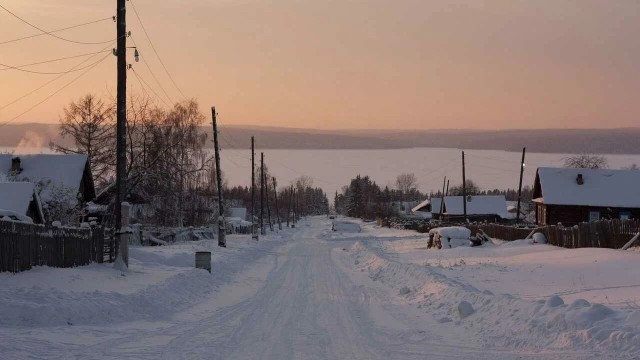Тайга зимой
