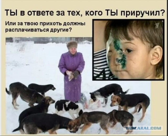 Ни дня без бурматовских людоедов. Волгоград.