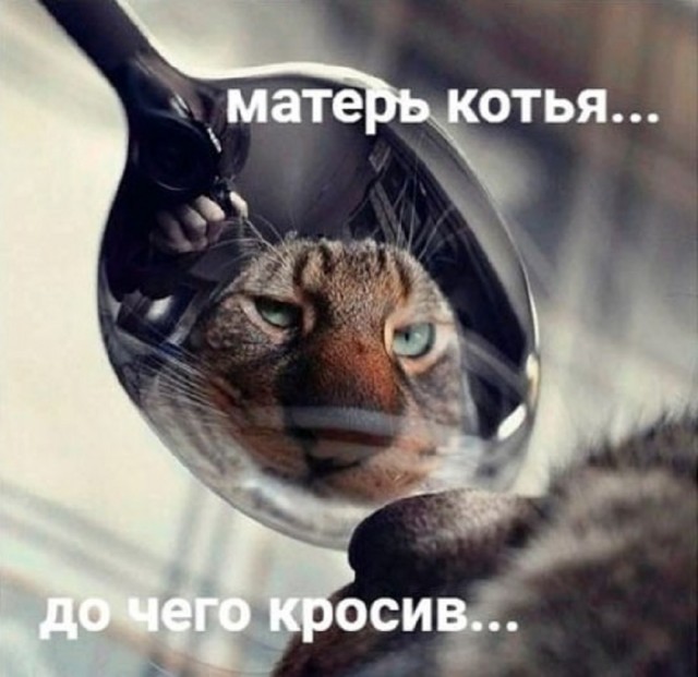 Так себе картинки 18.03.25