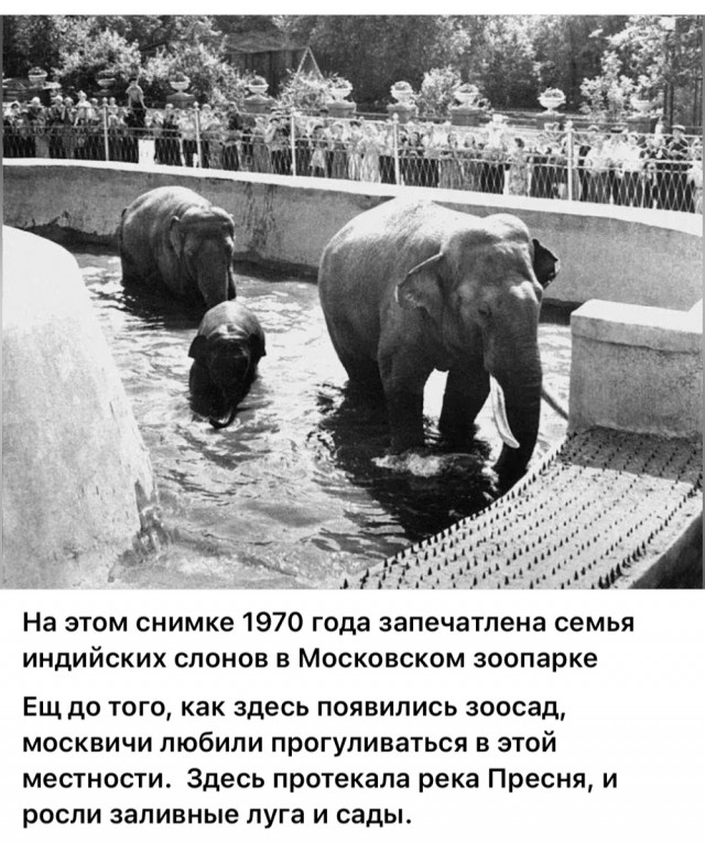 Москва и москвичи. Двадцатый век. 14.06.25