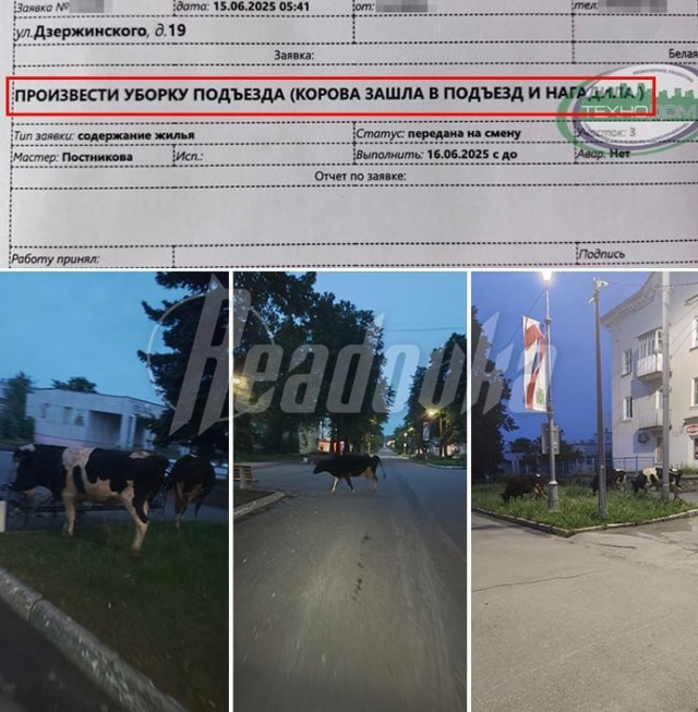 В г.Лесном бык и свинья вместе гуляли весь день, а к вечеру занялись любовью прямо на тротуаре