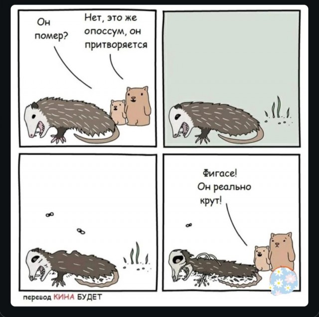 Веселые картинки в первый день июля (01.07)