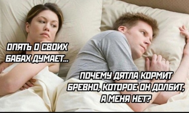 Картинки для деградации 26 (разной степени свежести)