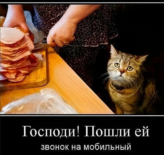 Ну что котята! Сундук деграданта! Выпуск номер 4!