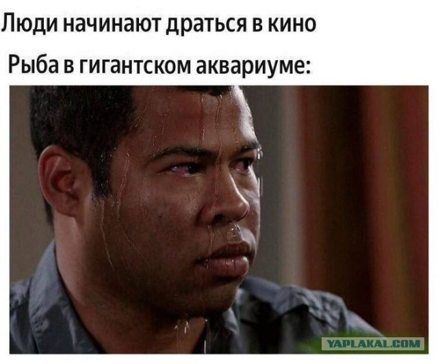 Картинки для деградации 43 (разной степени свежести)