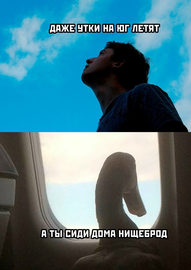 Так себе картинки 06.10.25