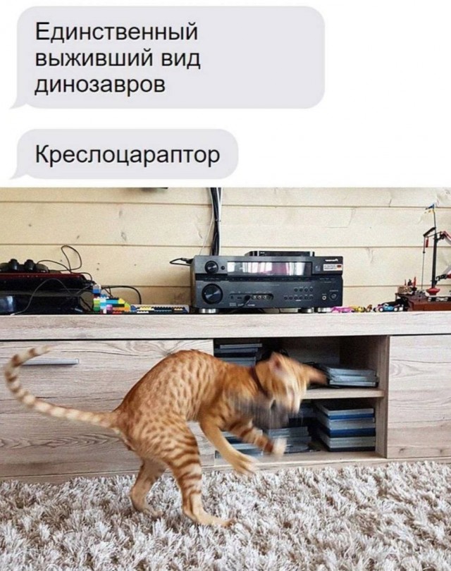 Веселое настроение в картинках (15.10.2025)
