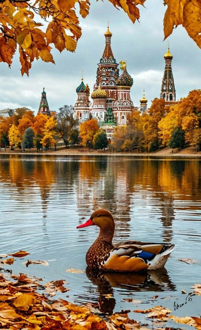 Прикольные и просто красивые картинки 31.10.2025