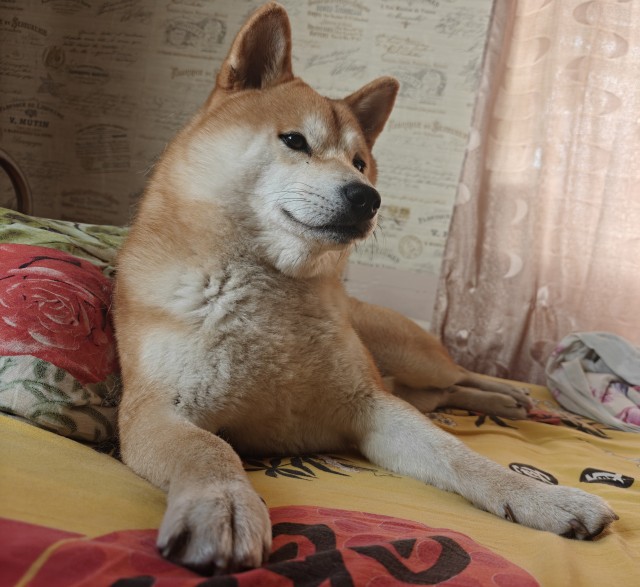 Зашёл не в ту дверь