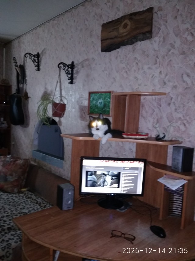 Котофторник жеж