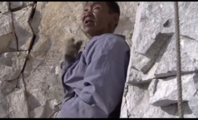 Коля стальные яйца