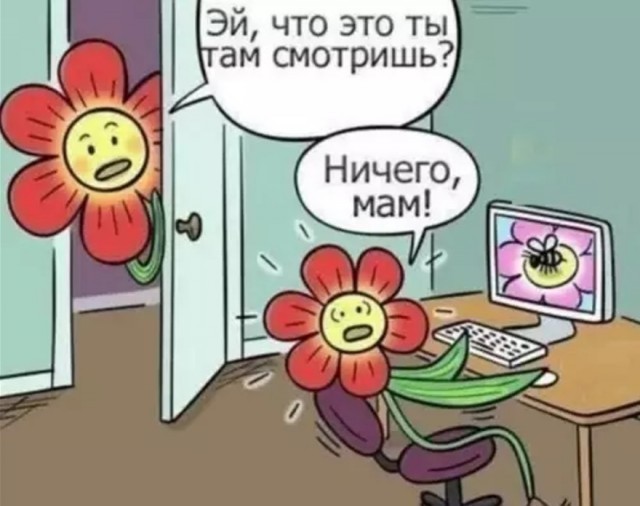 Картинки для деградации 190 (разной степени свежести)