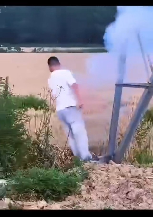 Подеградируем?!