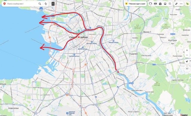 Все пляжи Петербурга признаны непригодными для купания