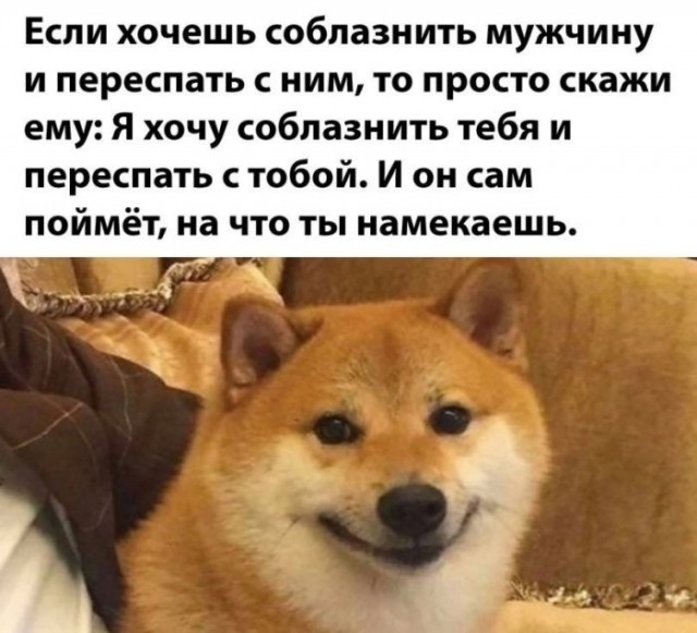 Картинки новые и старые, баяны и аккордеоны