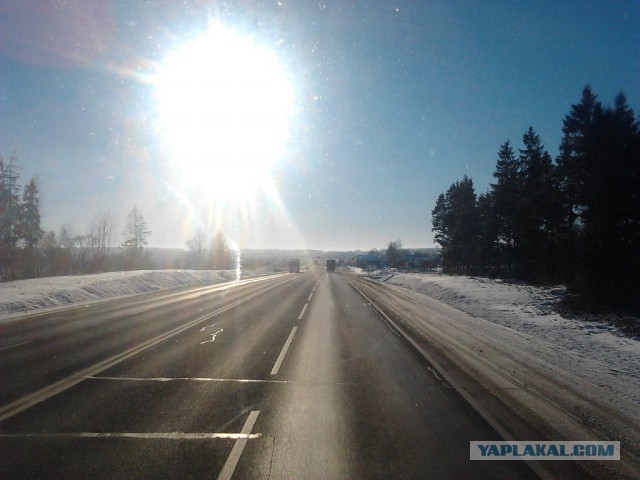 Где яблоки растут!