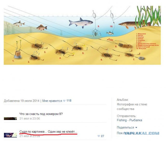 Улыбнуло часть "2"