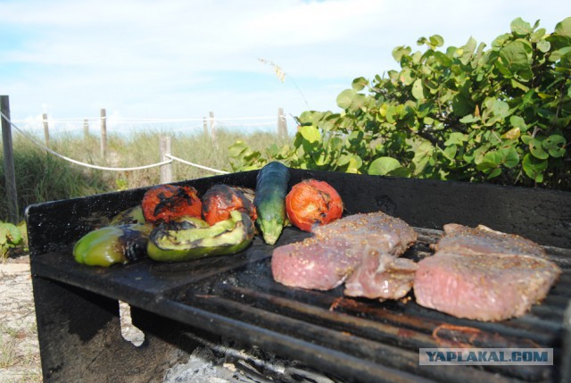 Каникулы во Флориде