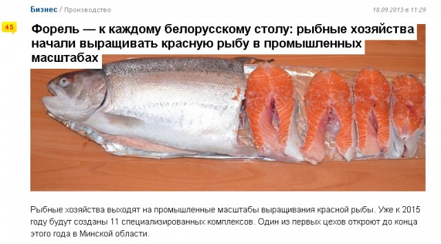 Первые креветки из Беларуси