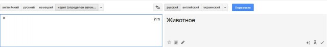 День Независимости Украины в Петербурге