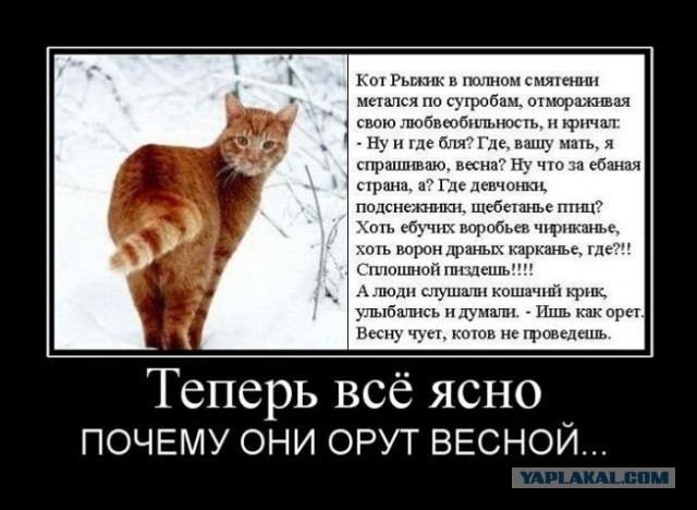 Смешные комментарии
