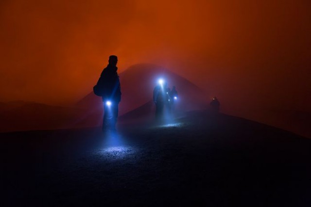 30 лучших снимков National Geographic за год