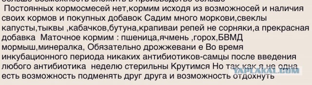 Итоги Кулинарного конкурса