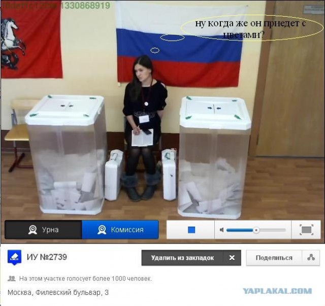 Веб-камеры на избирательных участках