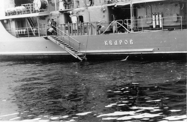 Боевая мощь ВМФ СССР