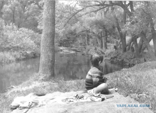 Вот оно какое наше лето!