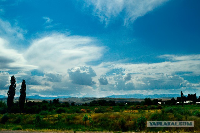 Фотоподборка