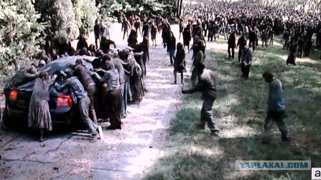 Сколько боли в этих фото