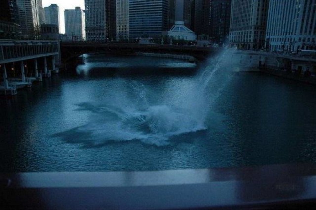 Машина - не птичка!