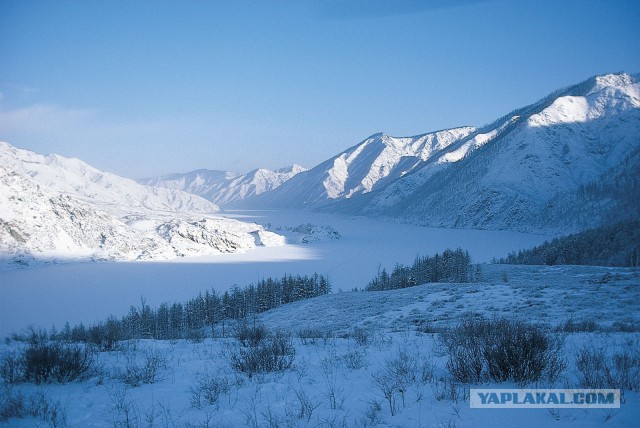 Отшельники Сибири