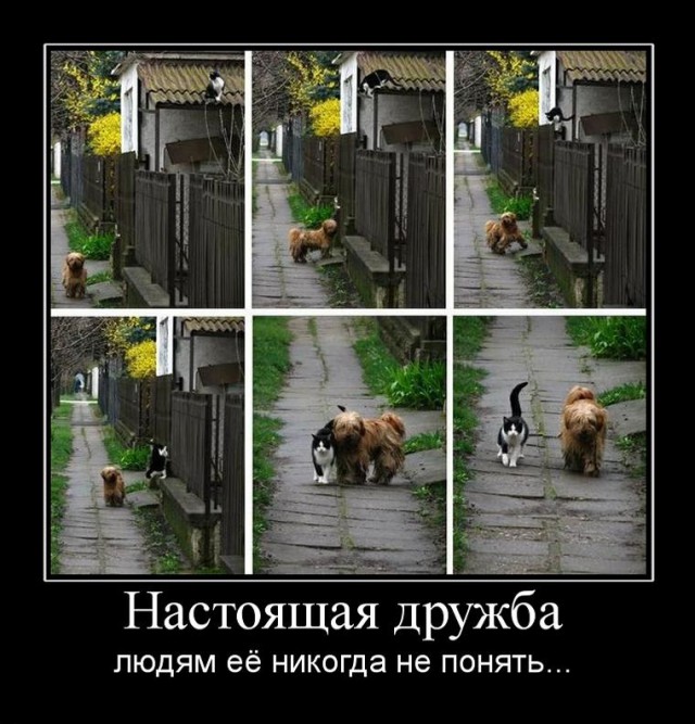 "Зелёная шляпа"