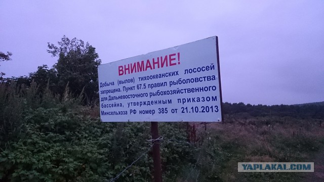 Как я ездил на Сахалин в 2016