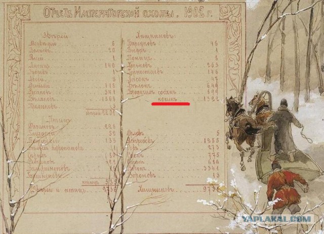 Есть ли на ЯПе врачи?