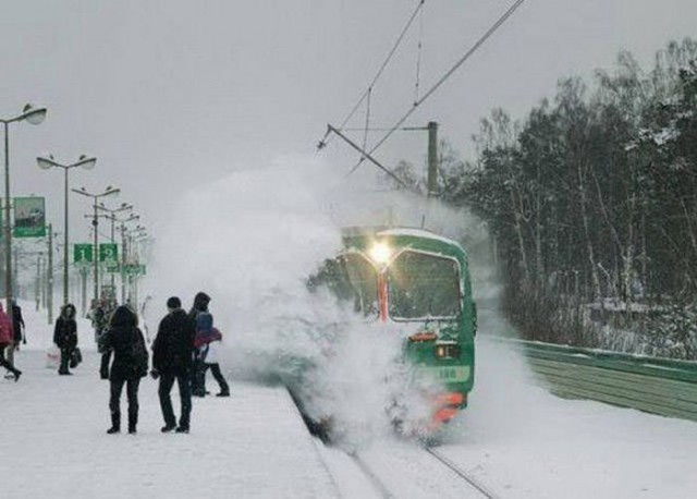 Подборка безудержного веселья