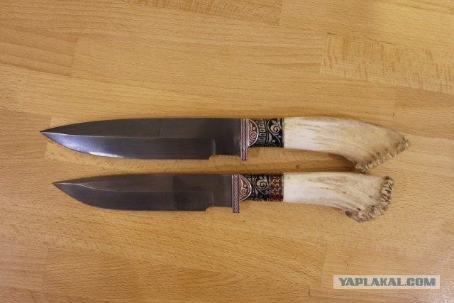 Продам Пчаки